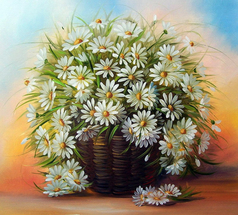 Ромашки полевые - цветы - оригинал