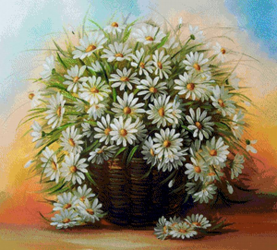 Ромашки полевые - цветы - предпросмотр