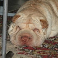 Схема вышивки «Масяня»