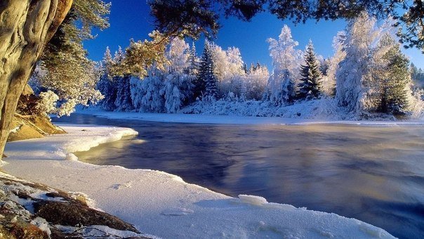 Русская зима - зима, лес, природа, река - оригинал