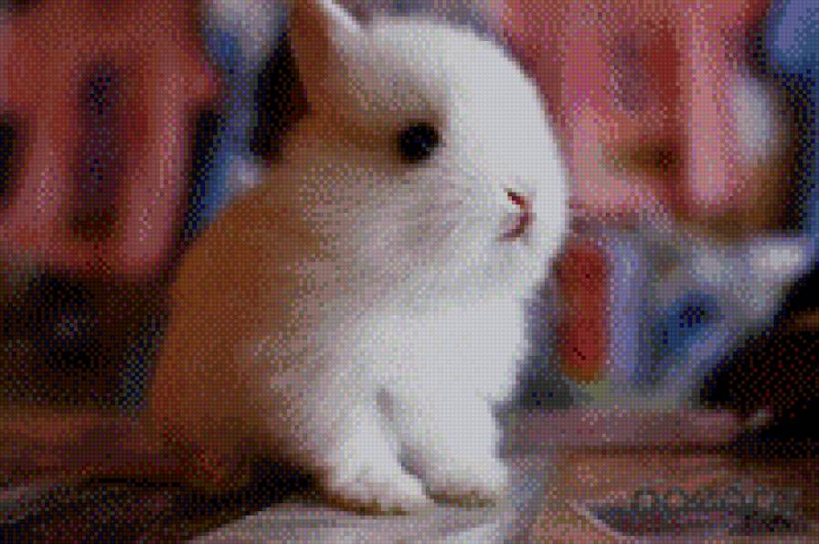 №709123 - животные, няшки, заяц, зверюшки, звери - предпросмотр