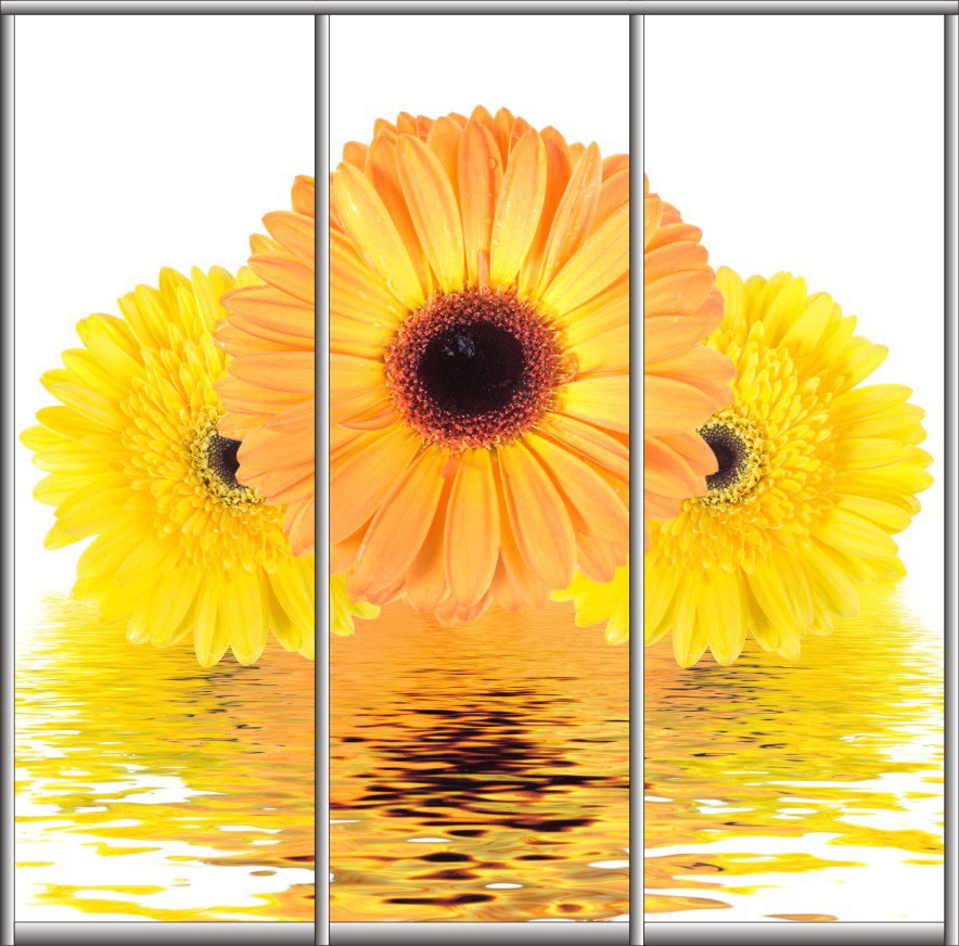 Триптих - отражение, цветы, триптих - оригинал