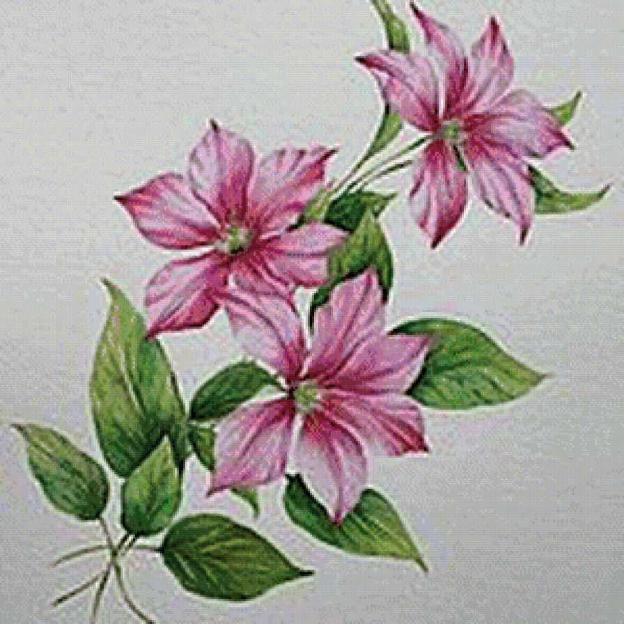 №709514 - цветы - предпросмотр