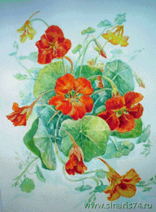 №709535 - цветы - предпросмотр