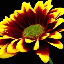 Схема вышивки «цветок»