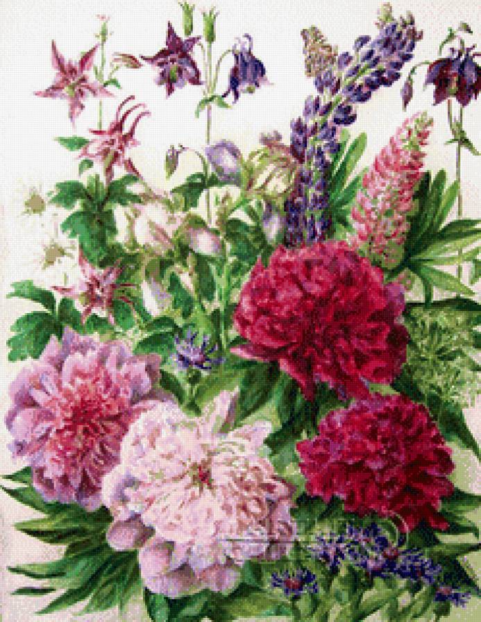 №709561 - цветы - предпросмотр