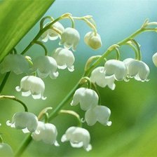 Схема вышивки «№709729»