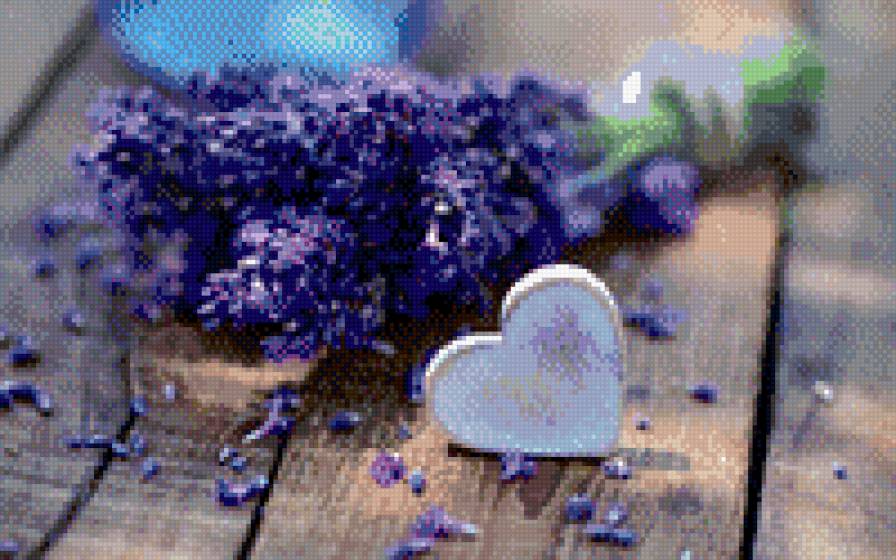 лаванда - предпросмотр