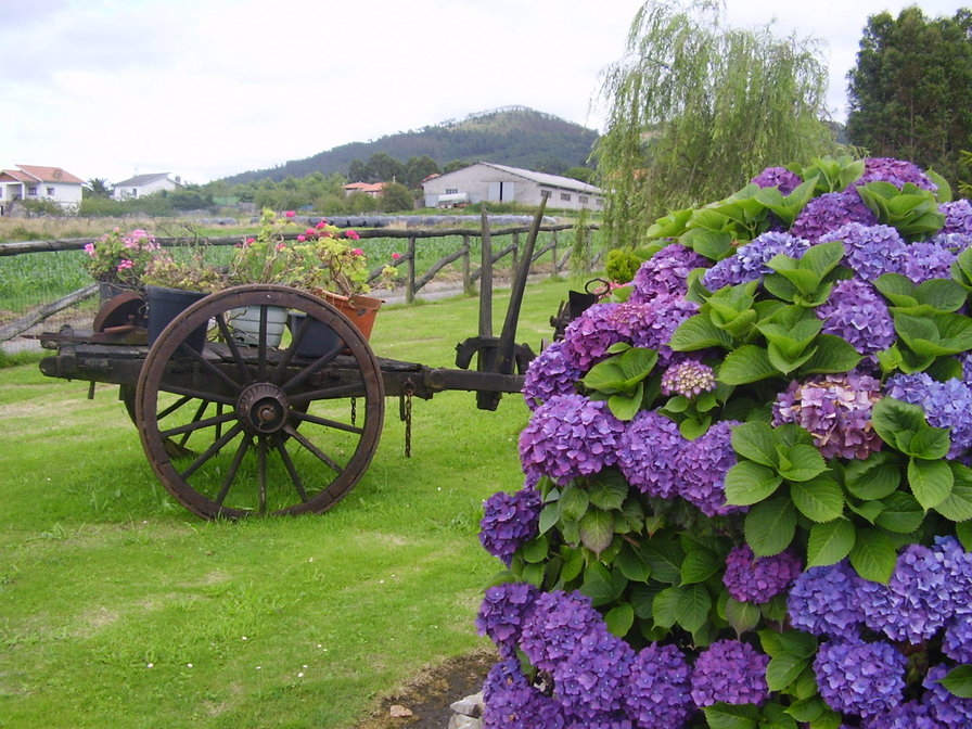 испания - оригинал