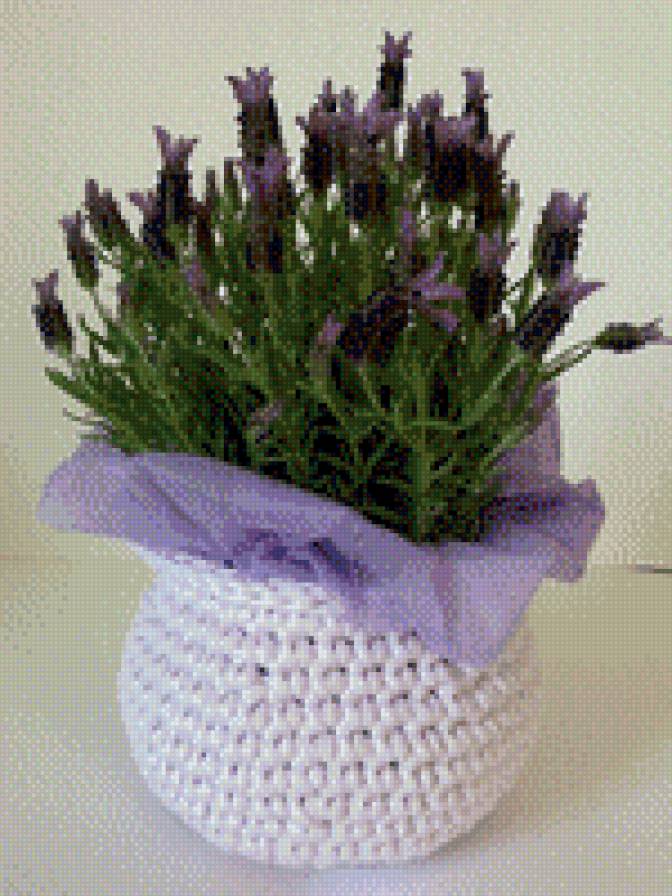 цветы - предпросмотр