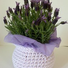 Схема вышивки «цветы»