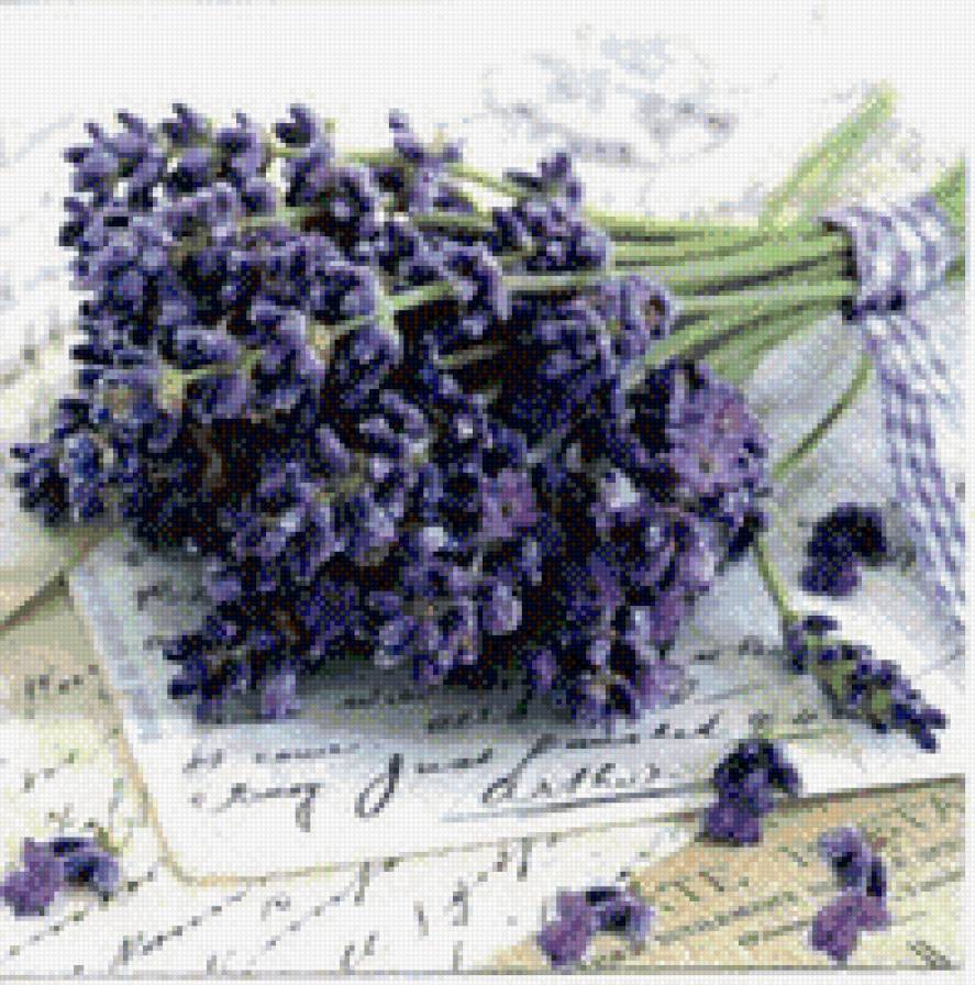 лаванда - предпросмотр