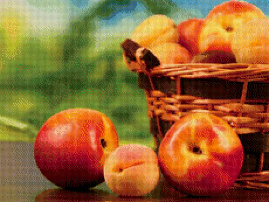 Абрикосы и нектарин - нектарин, персики, абрикосы, корзинка, фрукты - предпросмотр