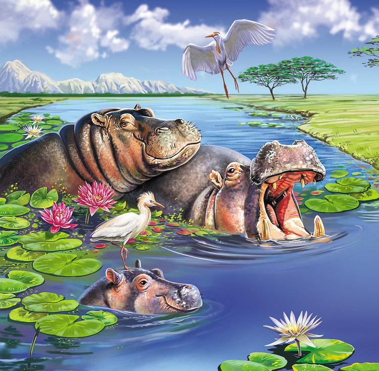 бегемотики - бегемот, природа, животные - оригинал