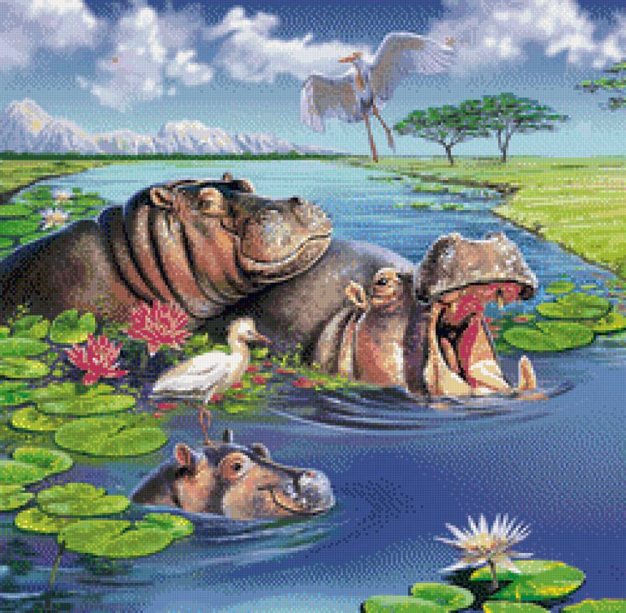 бегемотики - бегемот, животные, природа - предпросмотр