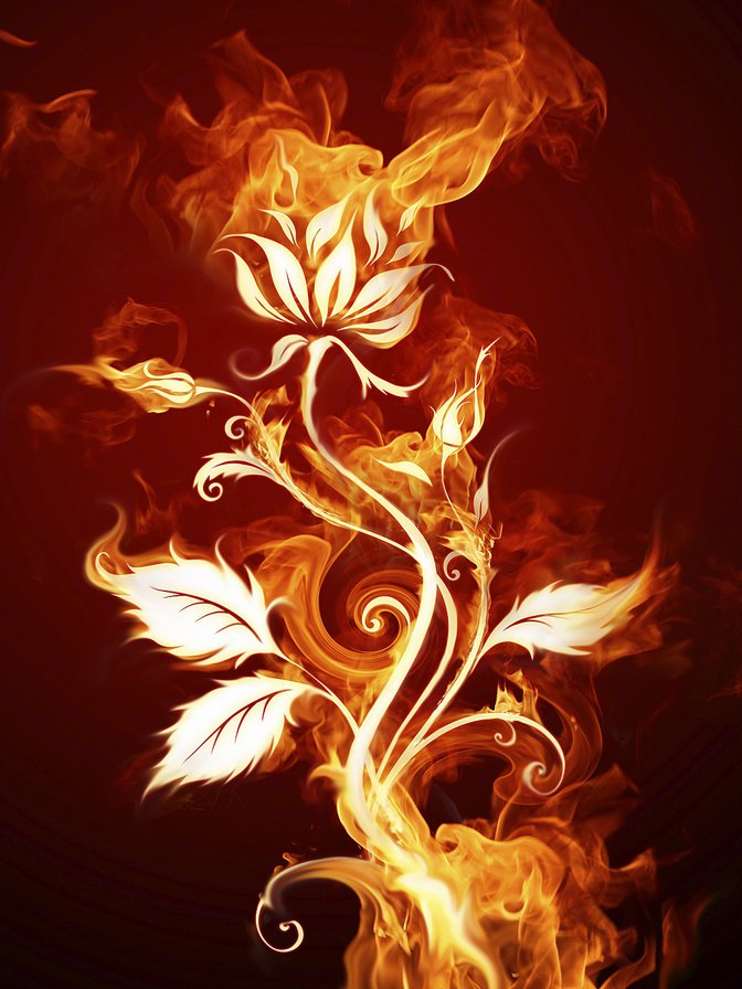 огненный цветок - оригинал