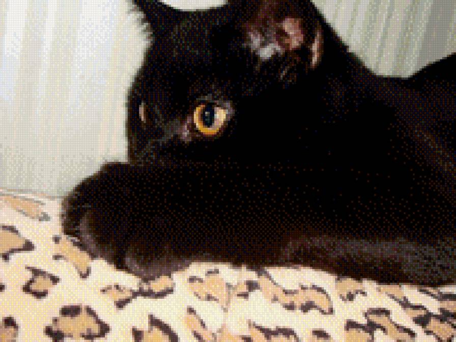 Яхонт - предпросмотр