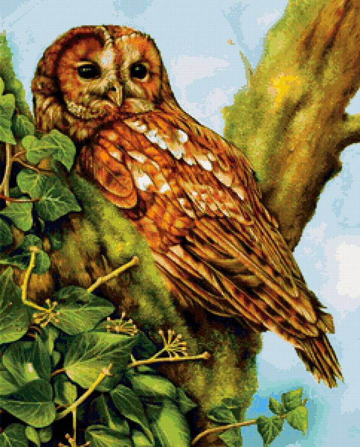 сова - листья, природа, птицы - предпросмотр