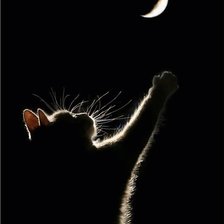 Схема вышивки «черный кот»