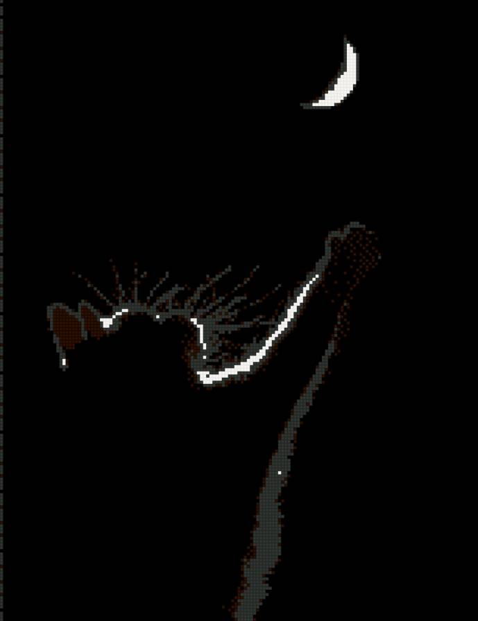 кот в ночи - кот в ночи - предпросмотр