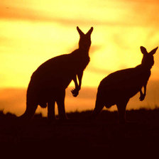 Схема вышивки «№710369»