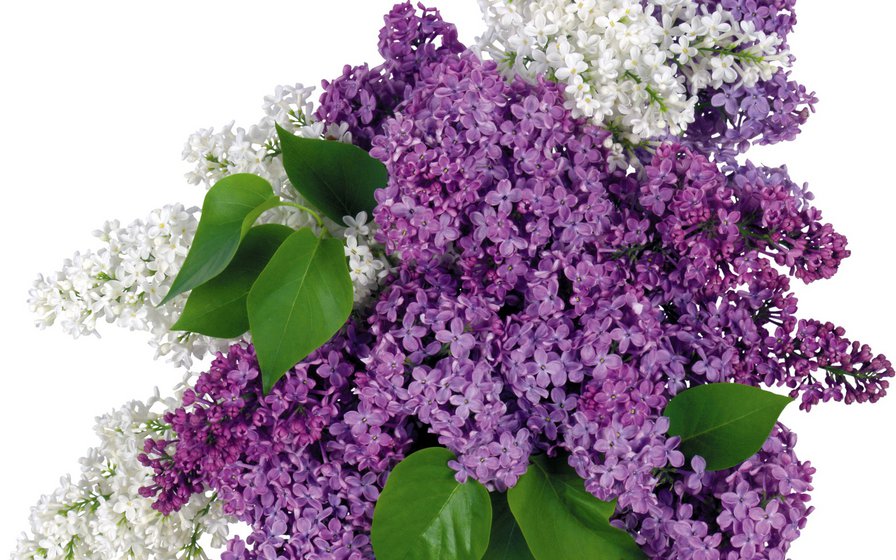 №710418 - оригинал