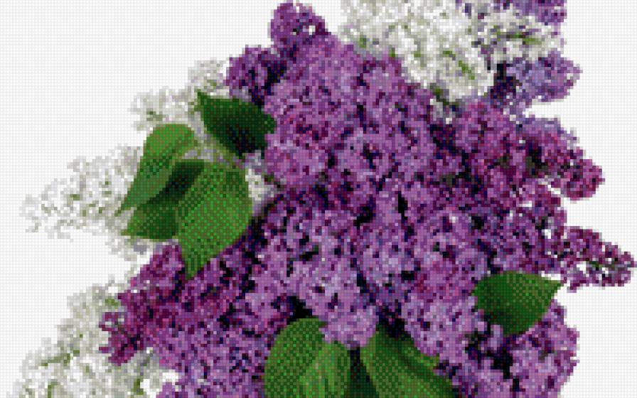 №710418 - предпросмотр