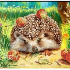 Схема вышивки «ежик»