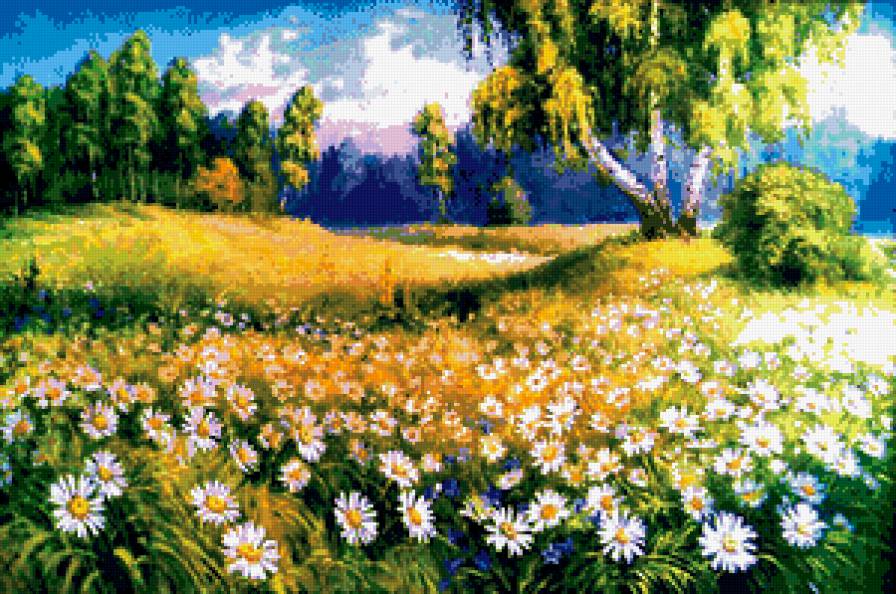 ромашковое поле - цветы, березы, пейзаж - предпросмотр