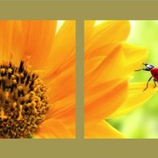 Схема вышивки «№710556»