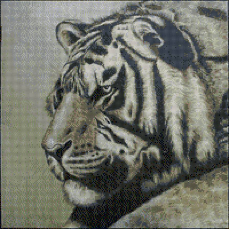 тигр - животные, котик - предпросмотр