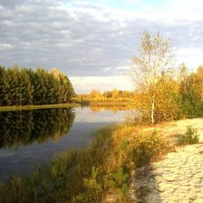 Слон и моська