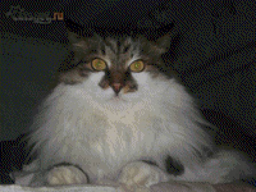 Стёпка на печке - кошки - предпросмотр