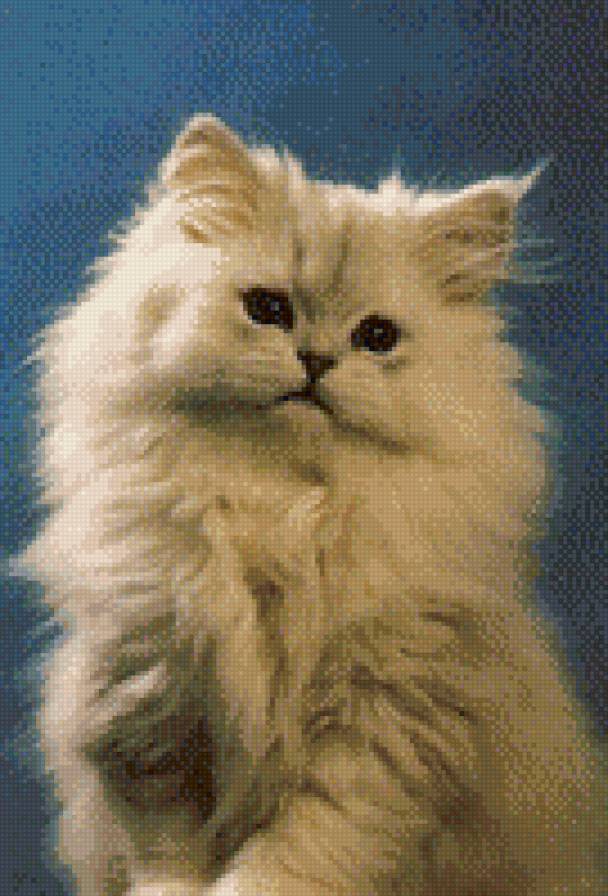 Пушистик - животные, кот, кошка, котенок - предпросмотр