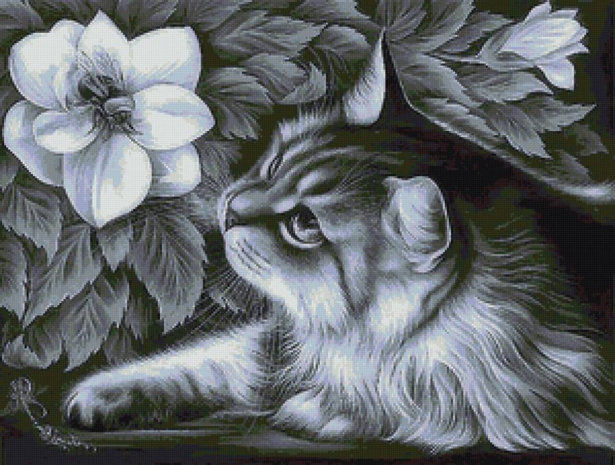 Кот с магнолией - предпросмотр