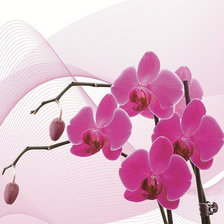 Схема вышивки «триптих орхидея (правая часть)»
