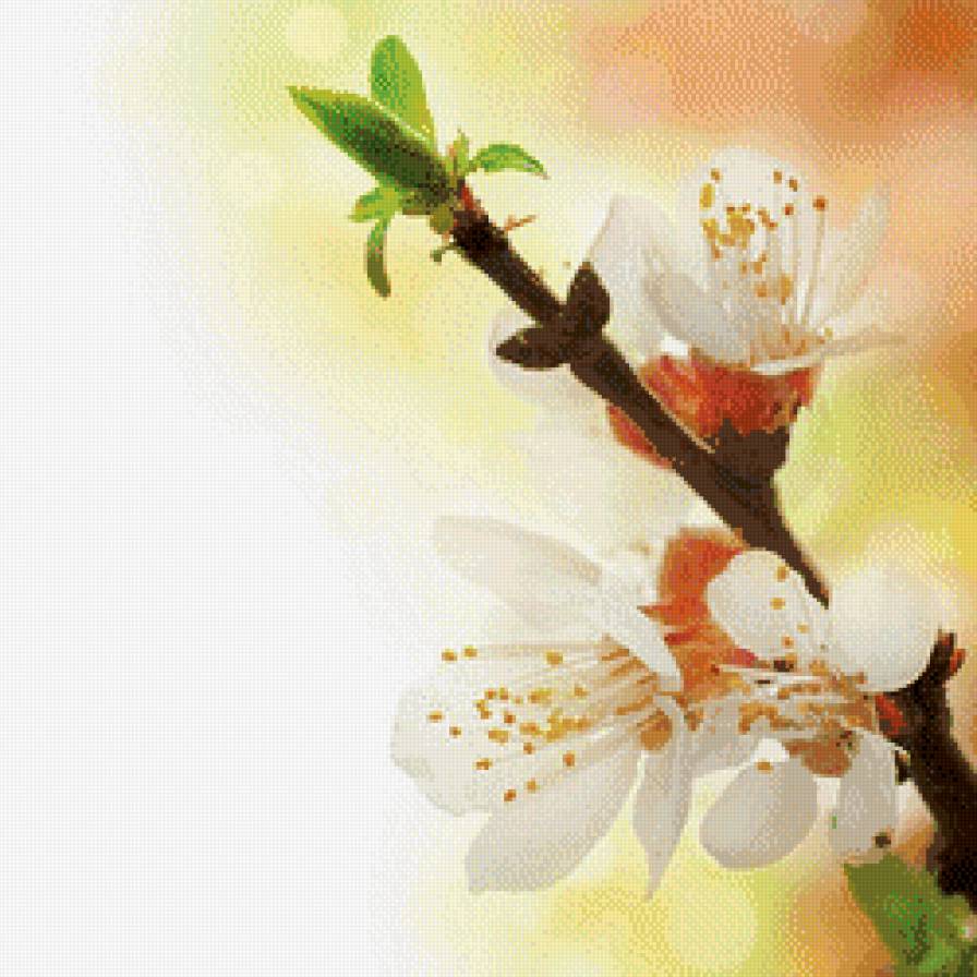 триптих весна (правая часть) - весна, триптих, цветы - предпросмотр