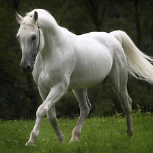 Оригинал схемы вышивки «Белая лошадь» (№711082)