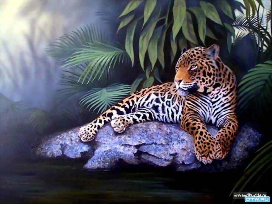 Большая кошка - хищники, леопард, животные - оригинал