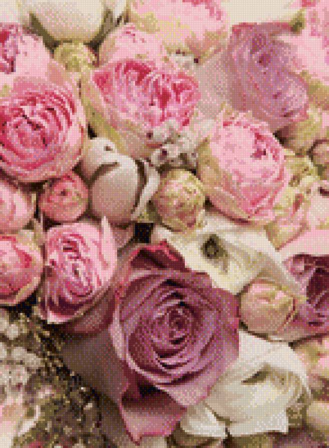 №711560 - розы, цветы, бутон - предпросмотр