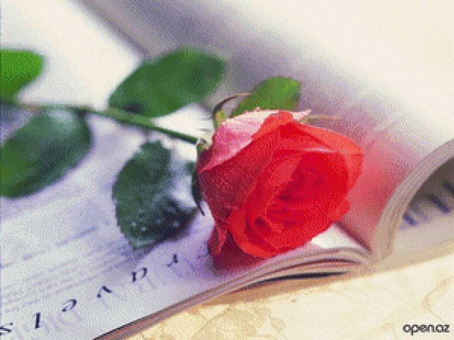 №711635 - предпросмотр