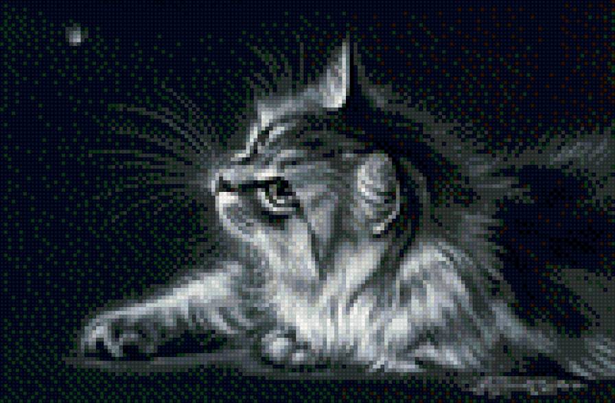 №711718 - предпросмотр