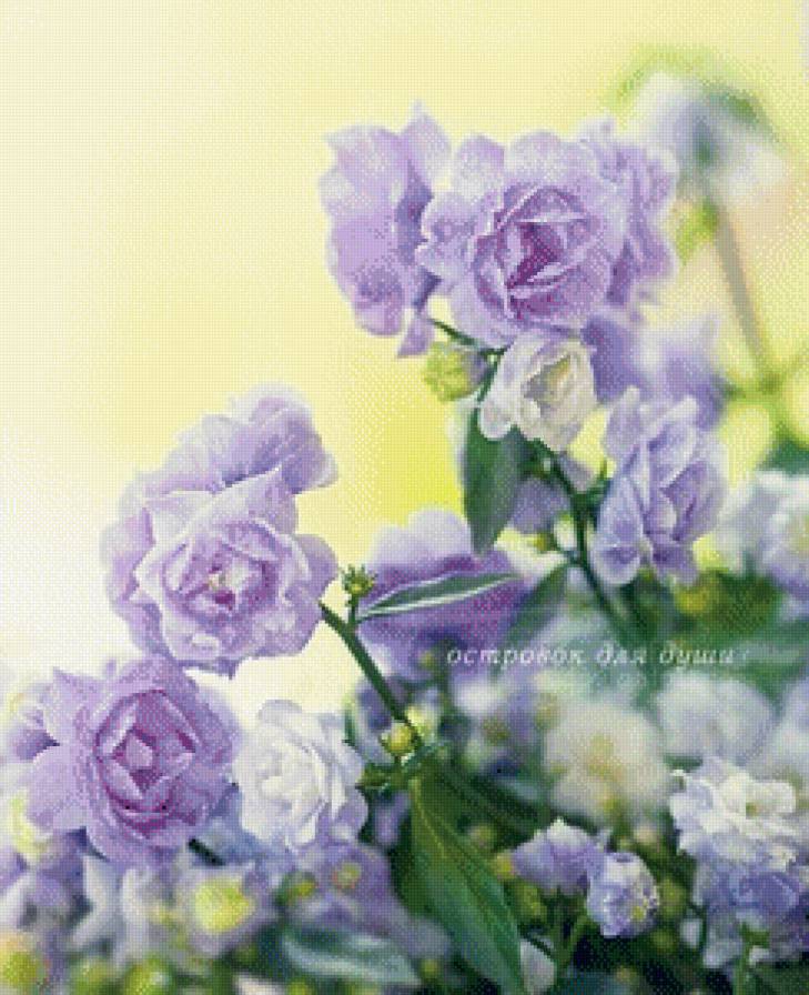 сиреневые цветы - цветы - предпросмотр