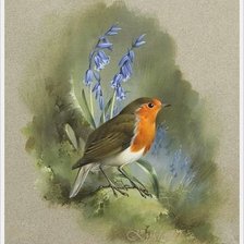 Схема вышивки «птица»