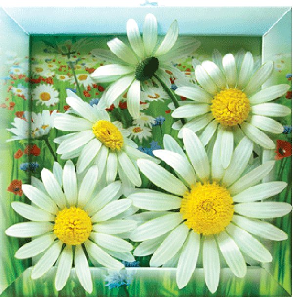 №711895 - цветы - оригинал