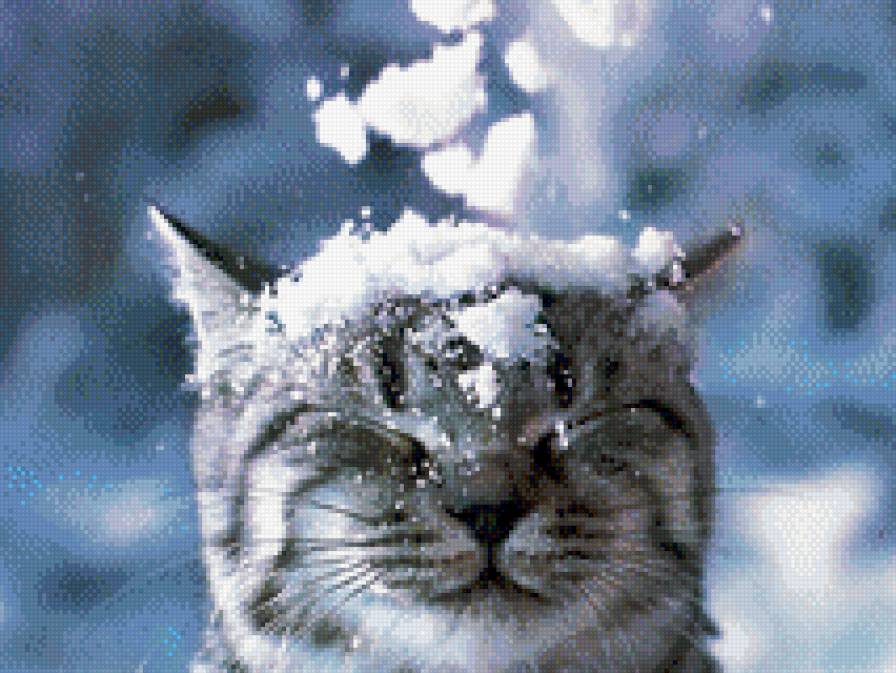 зимняя киса - снег, новый год, кошка - предпросмотр