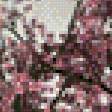 Предпросмотр схемы вышивки «Сакура цветет» (№712060)