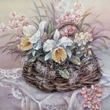 орхидеи в корзине