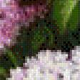 Предпросмотр схемы вышивки «Букет сирени 2» (№712079)
