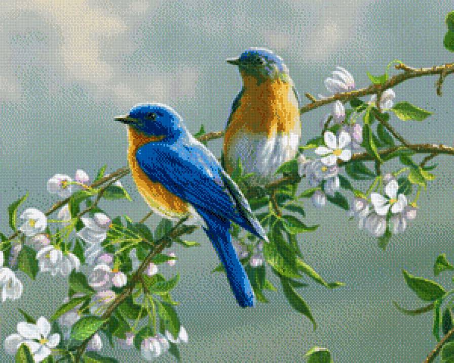 Чудо природы - птицы - предпросмотр